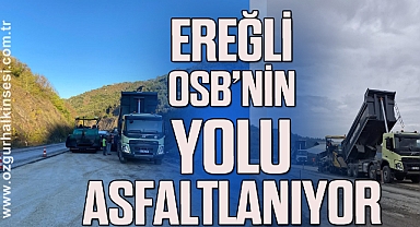 Ereğli OSB'nin yolu asfaltlanıyor