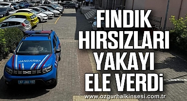 FINDIK HIRSIZLARI YAKAYI ELE VERDİ