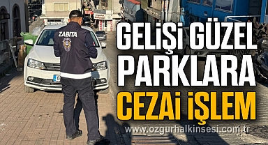 Gelişi güzel parklara cezai işlem