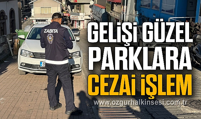 Gelişi güzel parklara cezai işlem