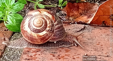 Günün Fotoğrafı...