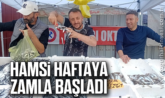 HAMSİ HAFTAYA ZAMLA BAŞLADI