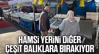Hamsi yerini diğer çeşit balıklara bırakıyor