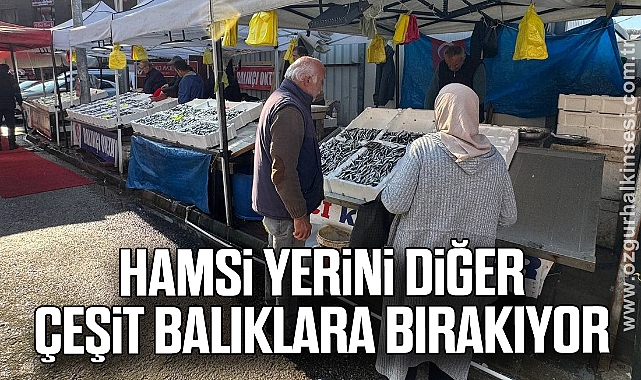 Hamsi yerini diğer çeşit balıklara bırakıyor