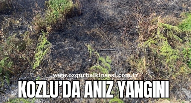 Kozlu'da Anız Yangını