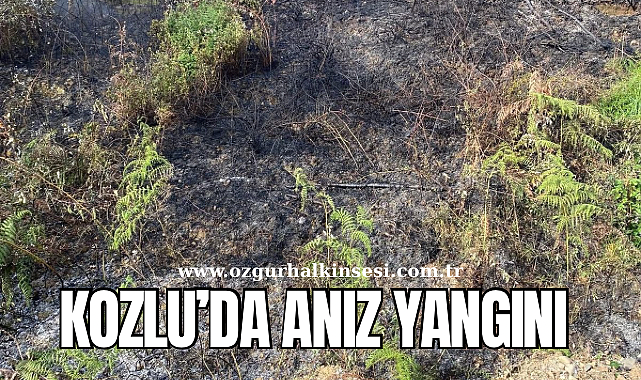 Kozlu'da Anız Yangını