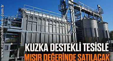 “KUZKA Destekli Tesisle Mısır Değerinde Satılacak”