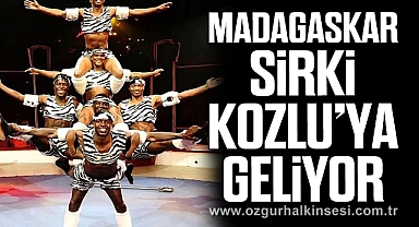 MADAGASKAR SİRKİ KOZLU’YA GELİYOR