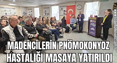 Madencilerin pnömokonyoz hastalığı masaya yatırıldı