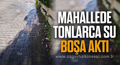 Mahallede tonlarca su boşa aktı