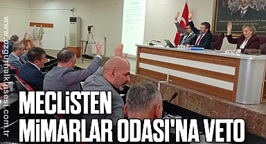 Meclisten Mimarlar Odası'na Veto