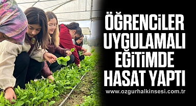 Öğrenciler, uygulamalı eğitimde hasat yaptı