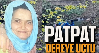 Patpat dereye uçtu