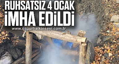 Ruhsatsız 4 Ocak İmha Edildi