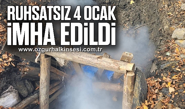 Ruhsatsız 4 Ocak İmha Edildi