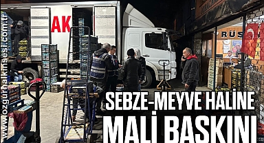 SEBZE-MEYVE HALİNE MALİ BASKINI