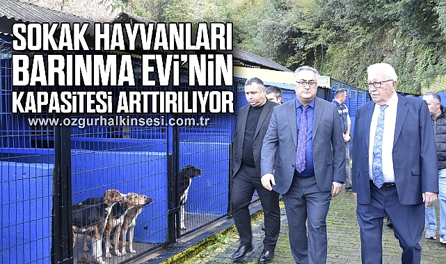 SOKAK HAYVANLARI BARINMA EVİ’NİN KAPASİTESİ ARTTIRILIYOR