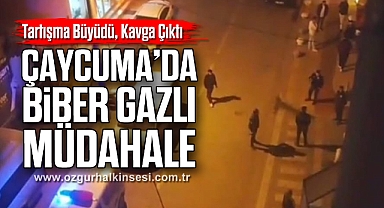 Tartışma Büyüdü, Kavga Çıktı: Çaycuma’da Biber Gazlı Müdahale