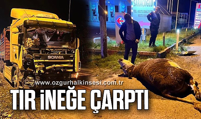 TIR İNEĞE ÇARPTI