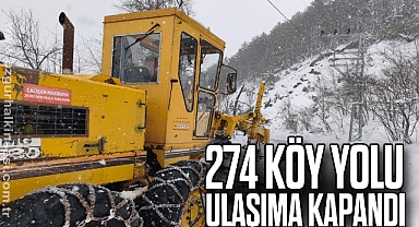 274 köy yolu kar nedeniyle ulaşıma kapandı