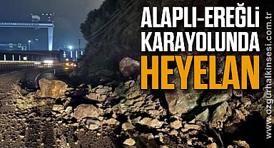 Alaplı–Ereğli Karayolunda Heyelan