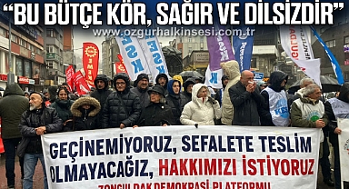 “BU BÜTÇE KÖR, SAĞIR VE DİLSİZDİR”