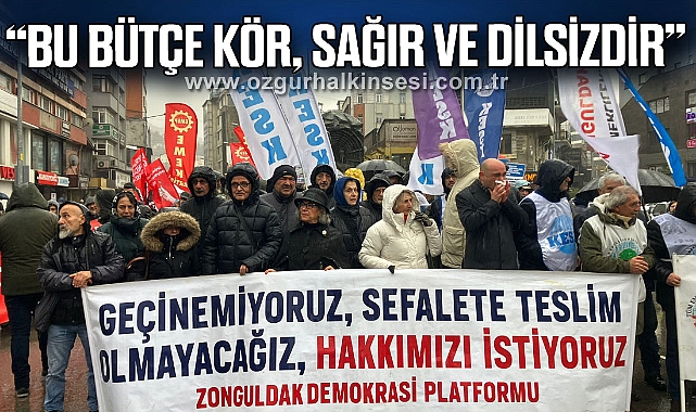 “BU BÜTÇE KÖR, SAĞIR VE DİLSİZDİR”