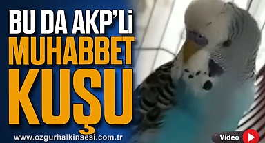 BU DA AKP’Lİ MUHABBET KUŞU