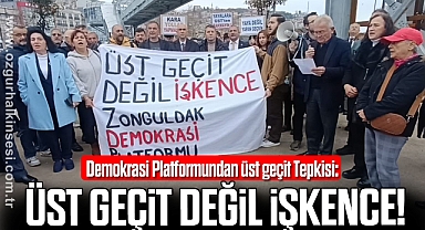 Demokrasi Platformundan üst geçit Tepkisi: Üst Geçit Değil İşkence!