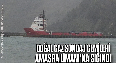 Doğal gaz sondaj çalışmasında görevli gemiler Amasra Limanı'na sığındı