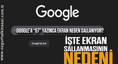Google’a “67” Yazınca Ekran Neden Sallanıyor?