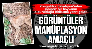 “GÖRÜNTÜLER MANÜPLASYON AMAÇLI”