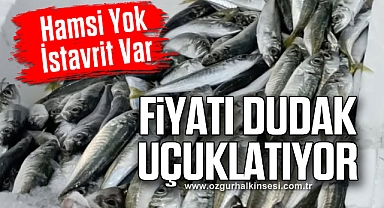 Hamsi Yok, İstavrit Var: Fiyatı Dudak Uçuklatıyor