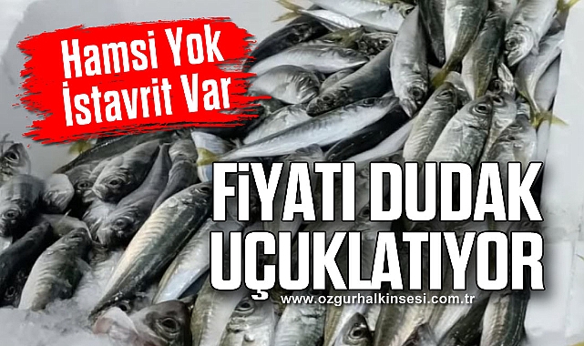 Hamsi Yok, İstavrit Var: Fiyatı Dudak Uçuklatıyor