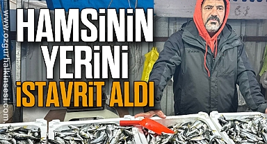 Hamsinin Yerini İstavrit Aldı