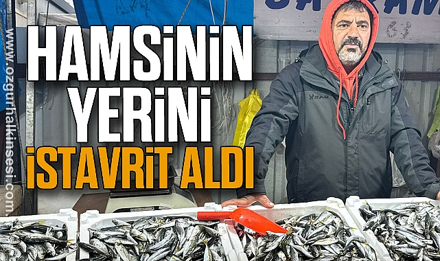 Hamsinin Yerini İstavrit Aldı
