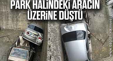 Park Halindeki Aracın Üzerine Düştü