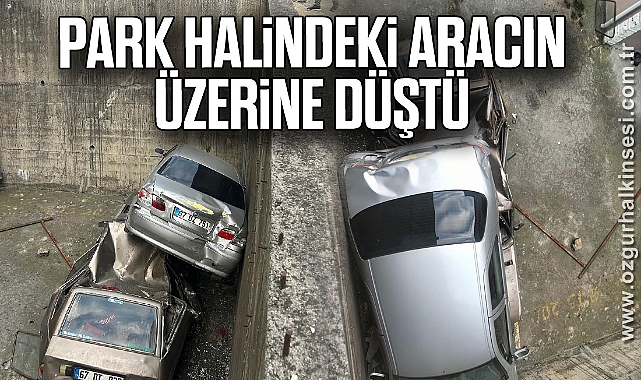 Park Halindeki Aracın Üzerine Düştü