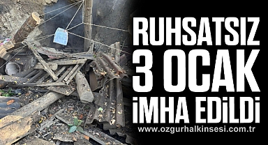 Ruhsatsız 3 Ocak İmha Edildi