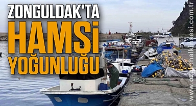 Zonguldak'ta hamsi yoğunluğu