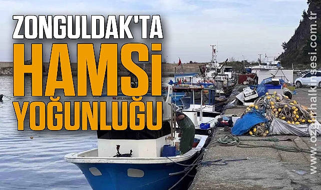 Zonguldak'ta hamsi yoğunluğu