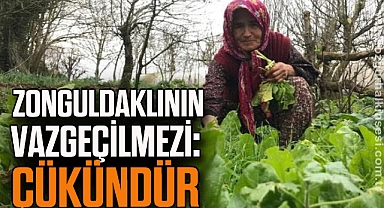 ZONGULDAKLININ VAZGEÇİLMEZİ: ÇÜKÜNDÜR