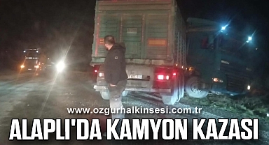 Alaplı'da Kamyon Kazası