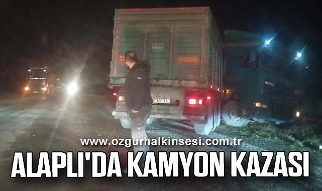 Alaplı'da Kamyon Kazası