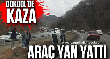 ARAÇ YAN YATTI