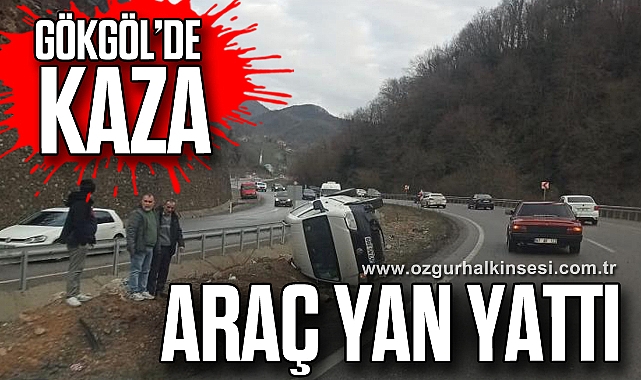 ARAÇ YAN YATTI