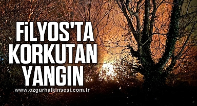  Filyos'ta korkutan yangın