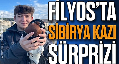 FİLYOS'TA SİBİRYA KAZI SÜRPRİZİ