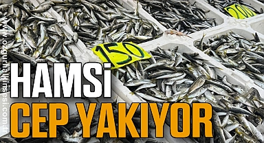HAMSİ CEP YAKIYOR
