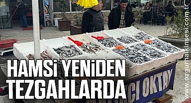 Hamsi yeniden tezgahlarda